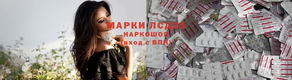 СК Володарск