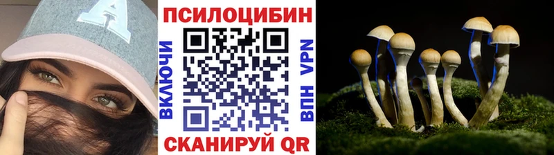 kraken ссылки  Ахтырский  Галлюциногенные грибы мицелий 
